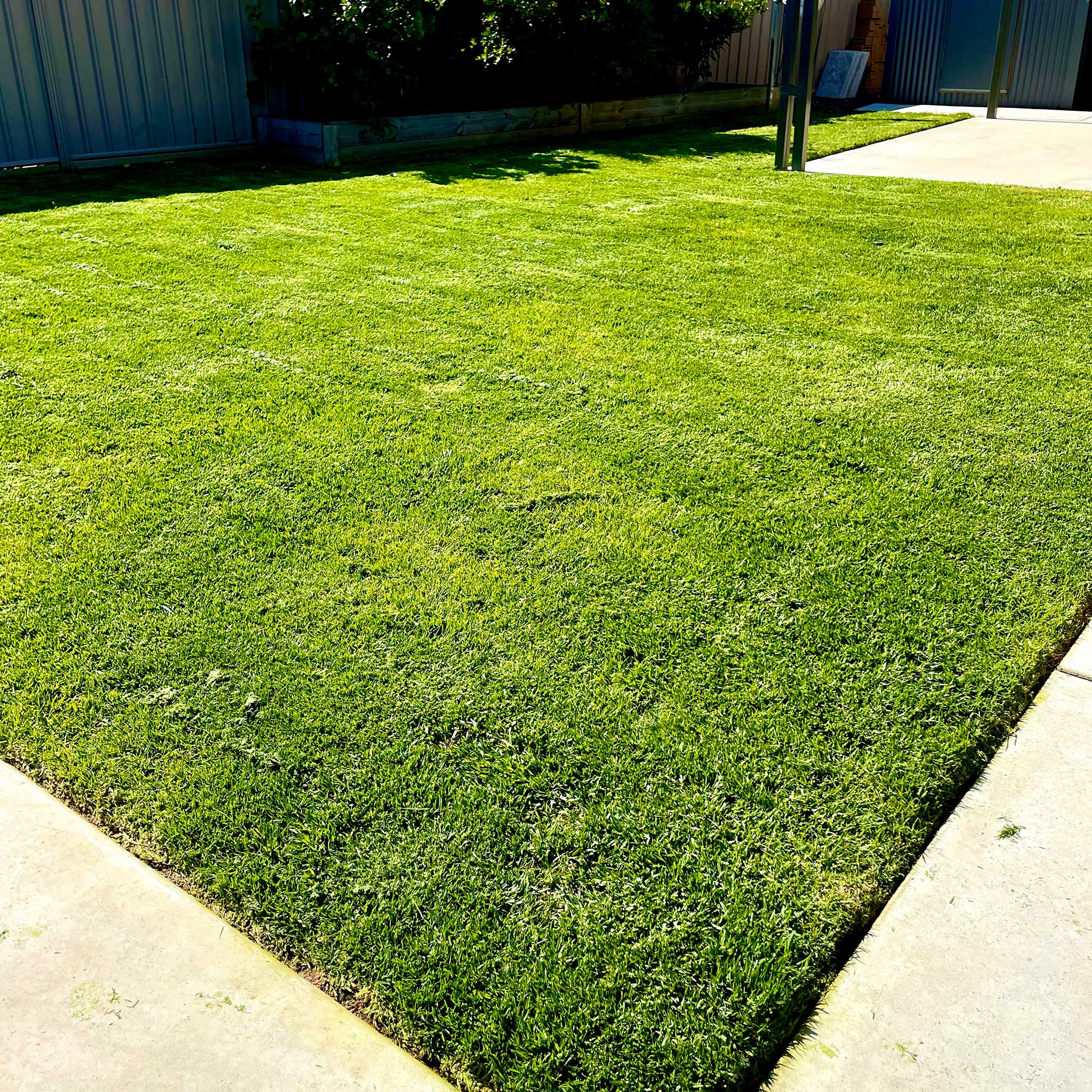 Moama Lawn Mowing