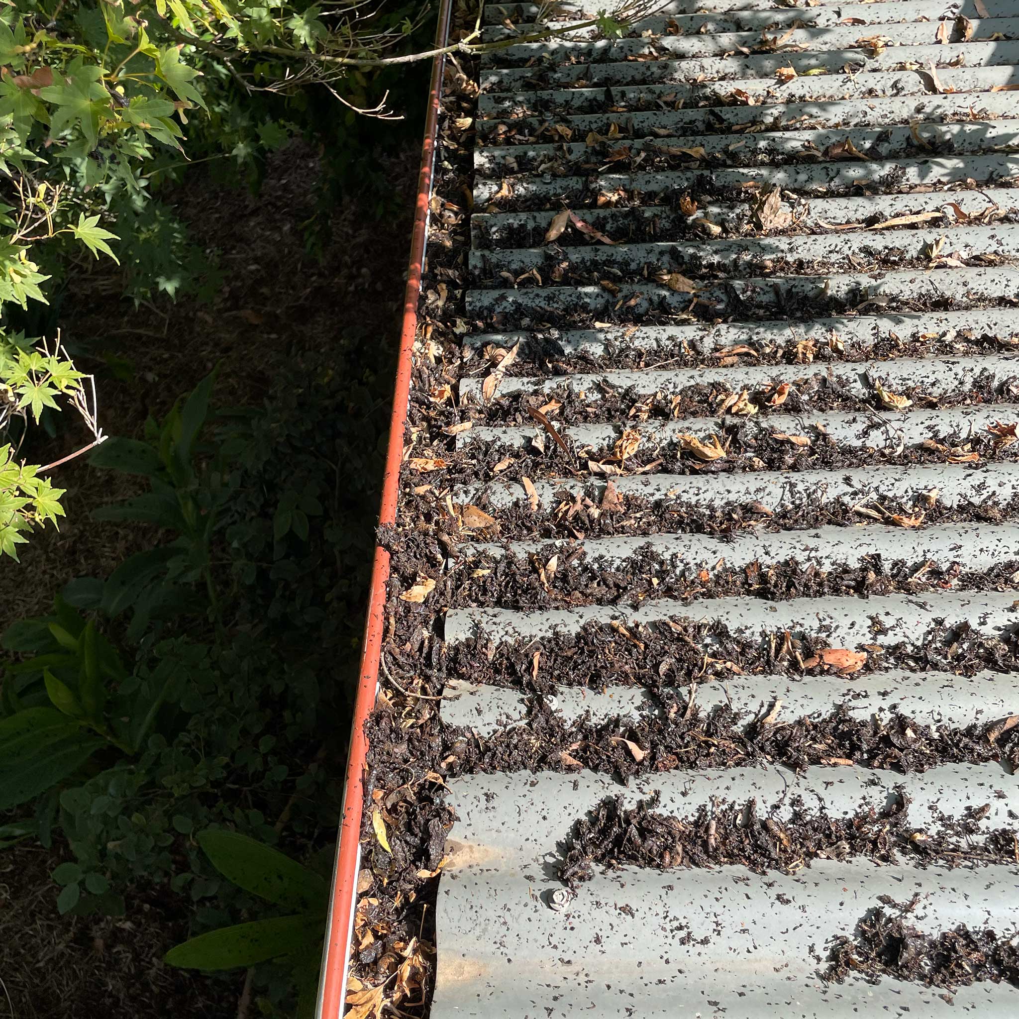 Moama Gutter Cleaning