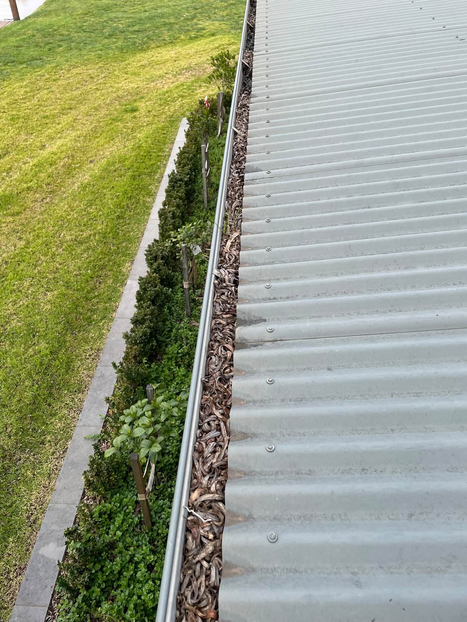 Built-Up Leaf Removal from Gutters Before