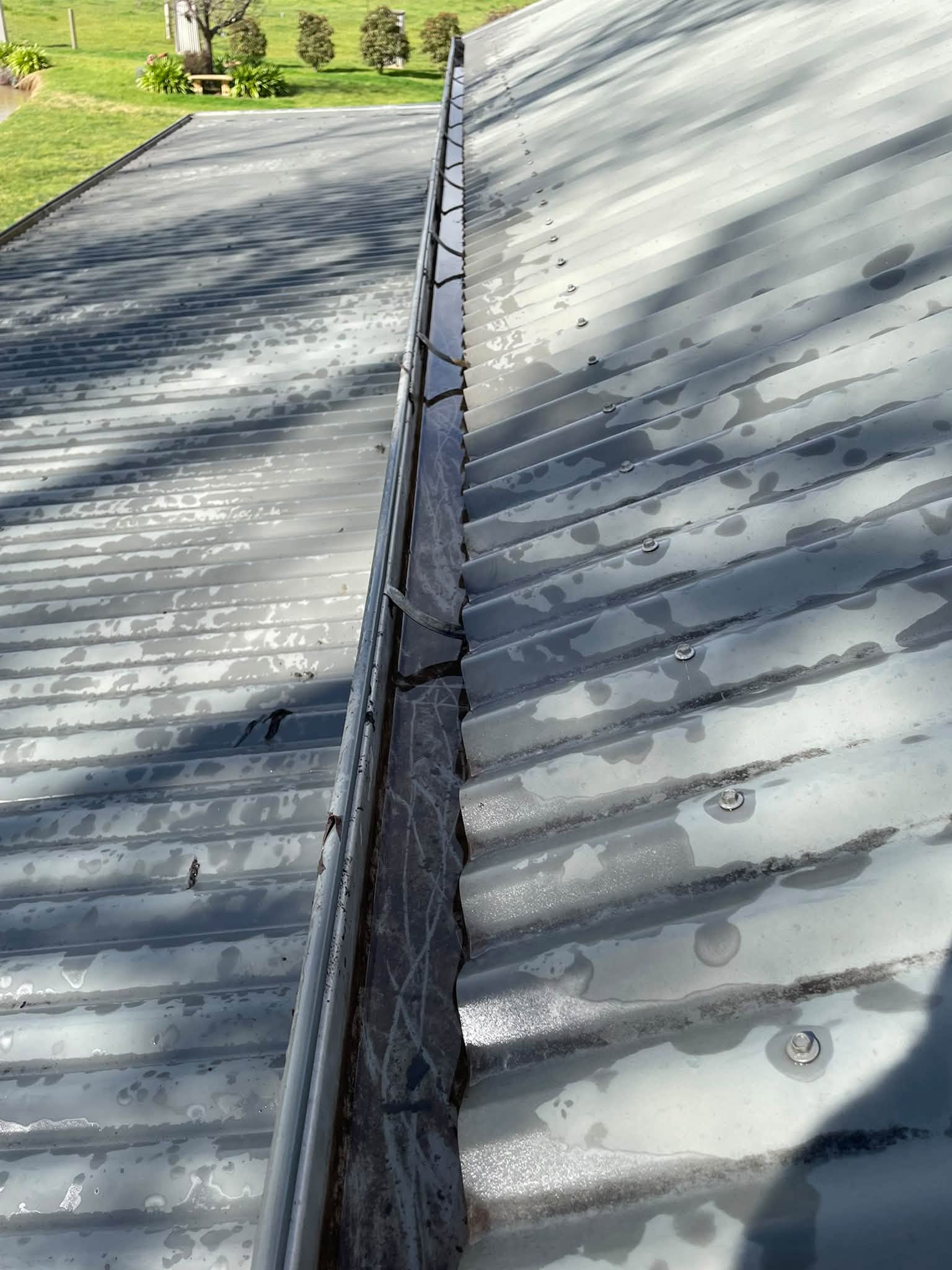Heavy Leaf Buildup Gutter Flush After
