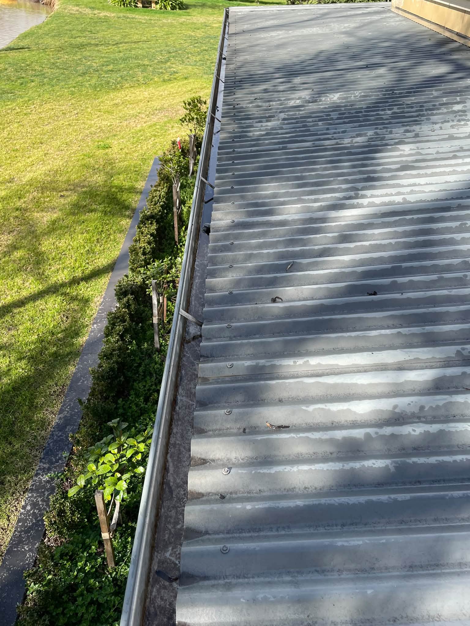 Built-Up Leaf Removal from Gutters After