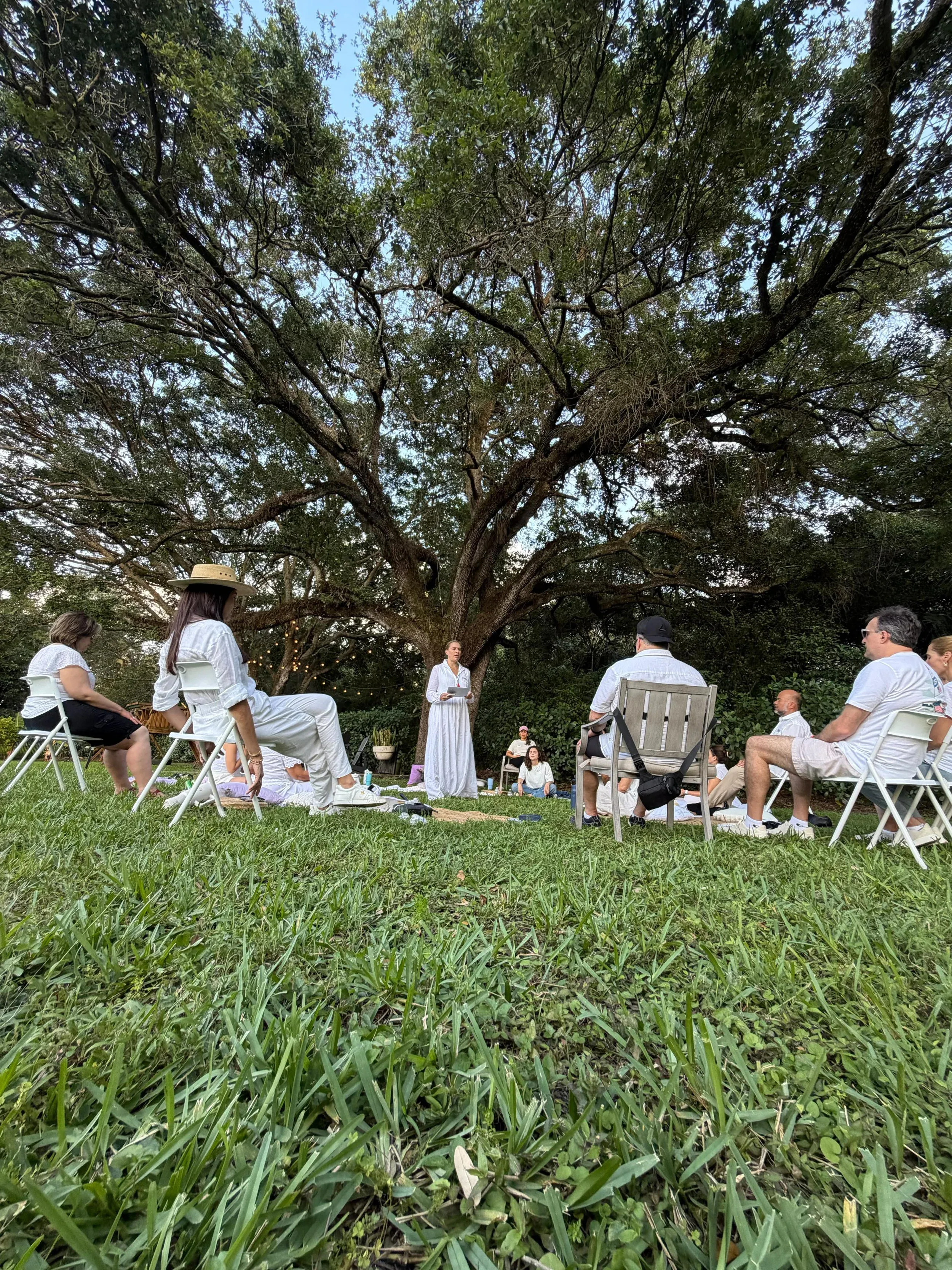 Grupo del Retiro Ser bajo el árbol