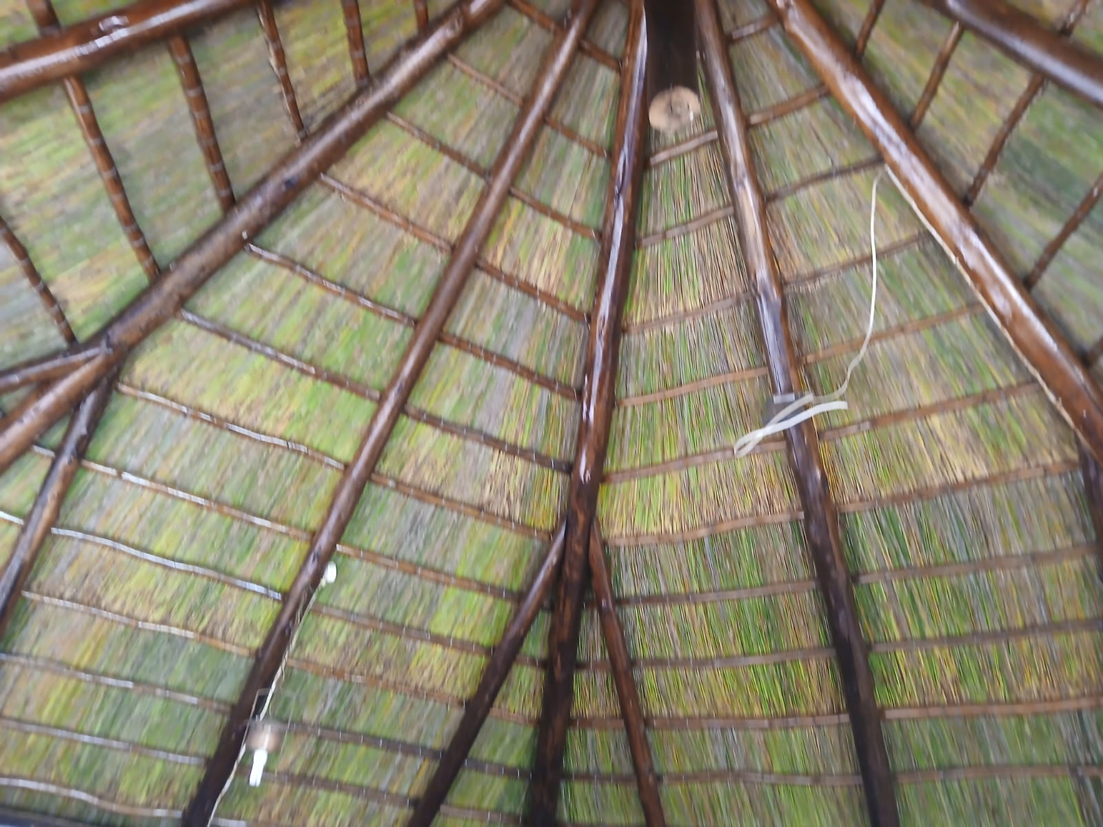 MJ Thatch Projects Portfolio 11