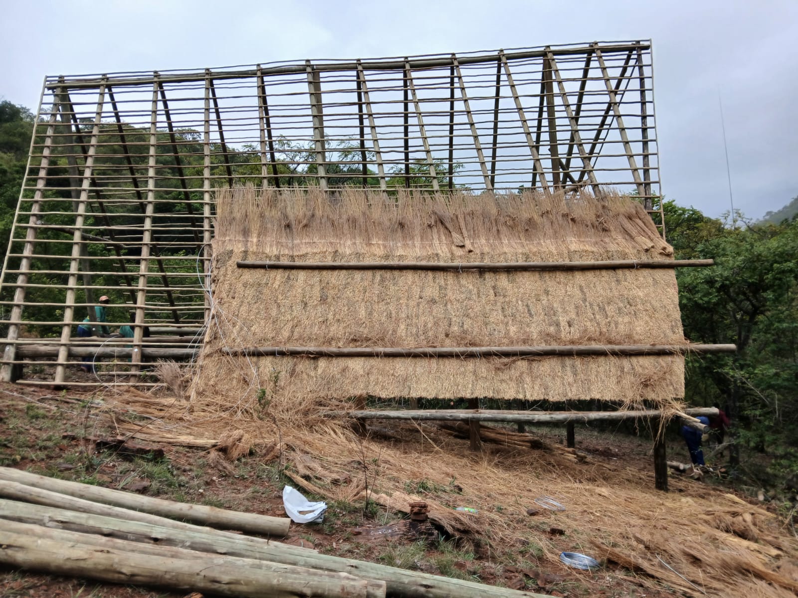 MJ Thatch Projects Portfolio 4