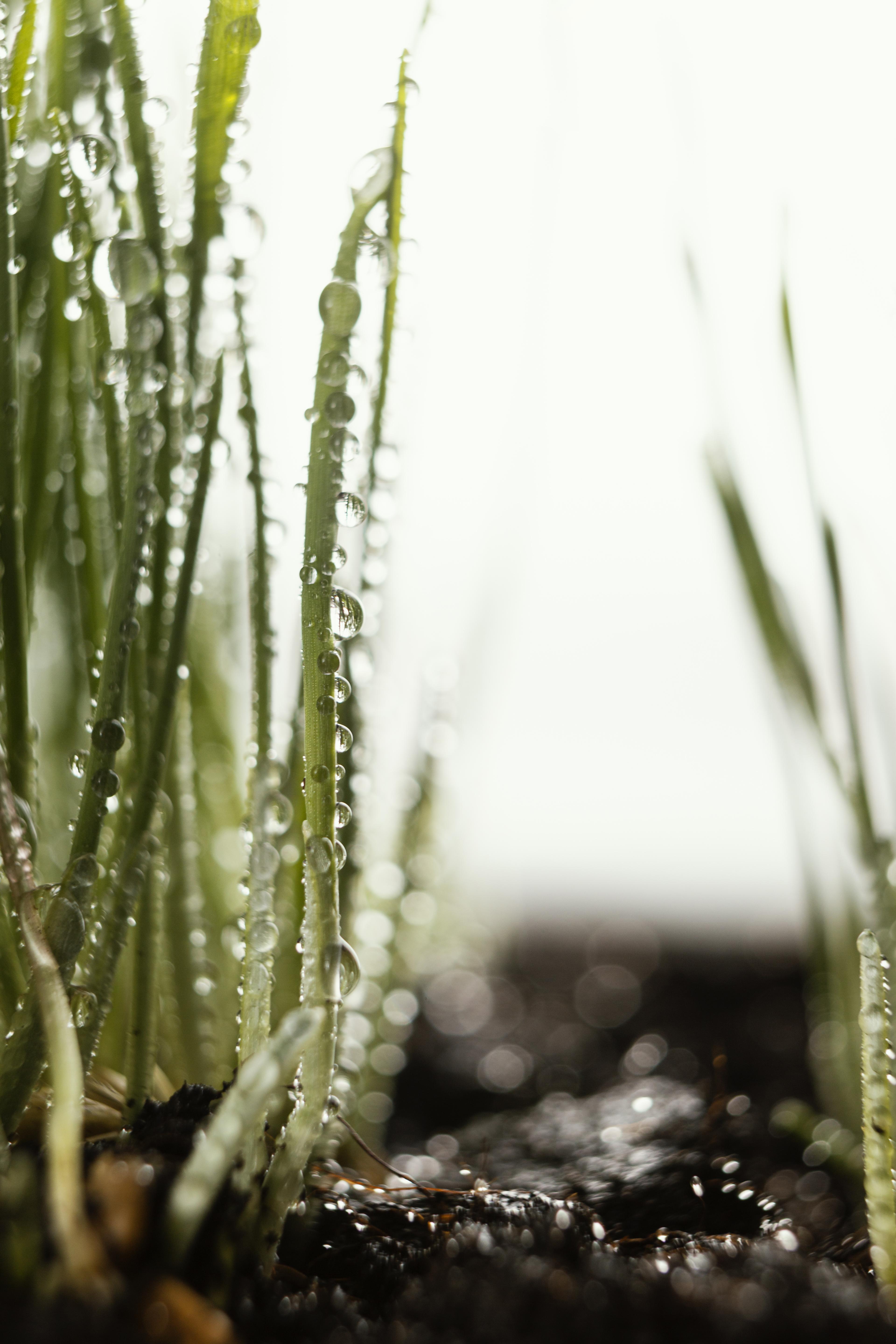 Professional irrigation and water installation