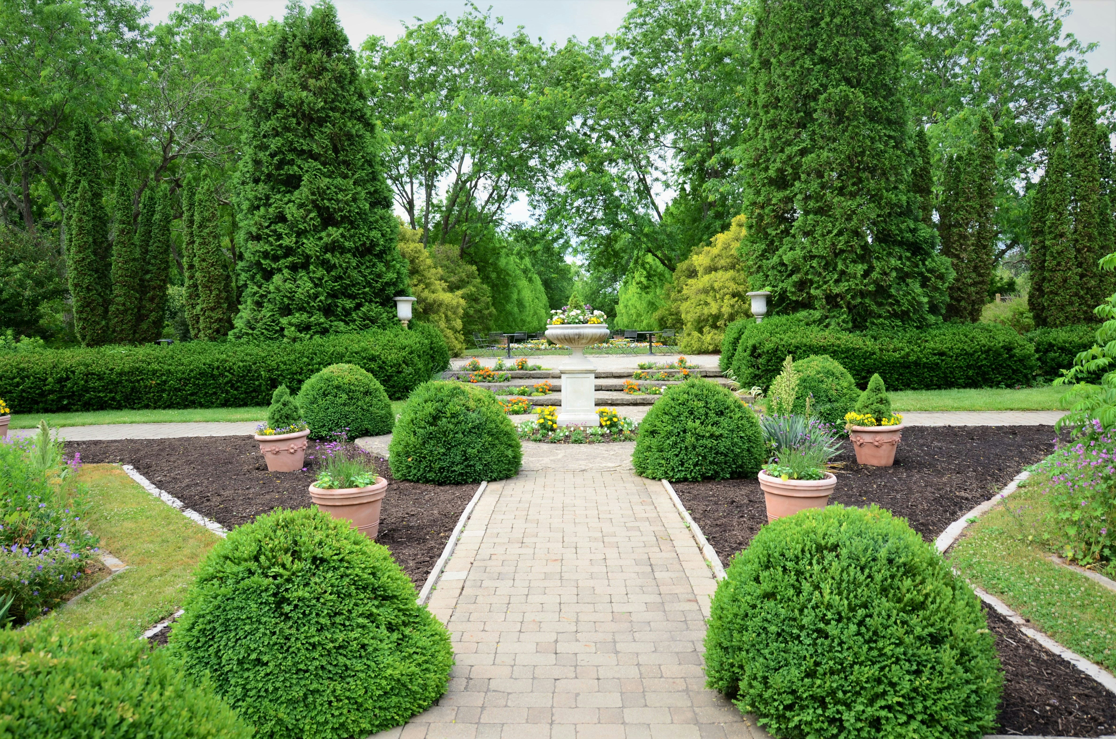 Professional landscaping solutions
