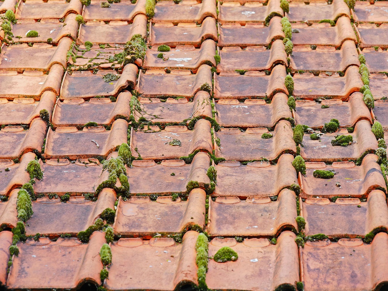 Waterproofing