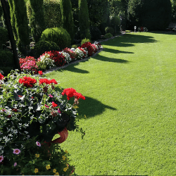 IA Property Solutions professional certification for property maintenance in Dorset