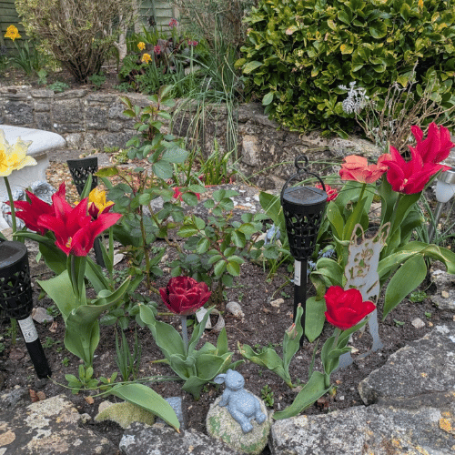 Garden maintenance in Bournemouth by IA Property Solutions