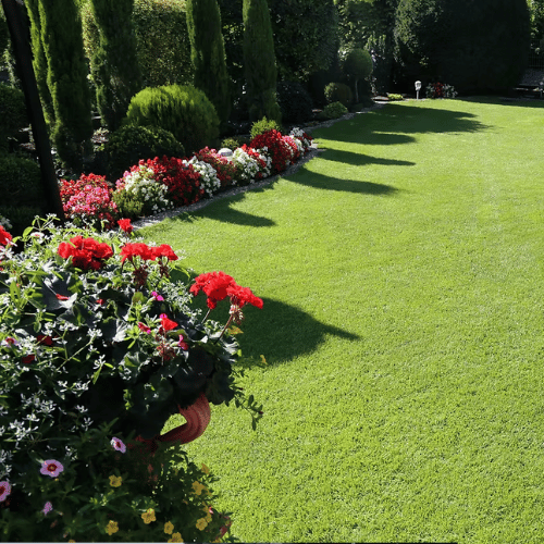 IA Property Solutions team providing property maintenance in Bournemouth