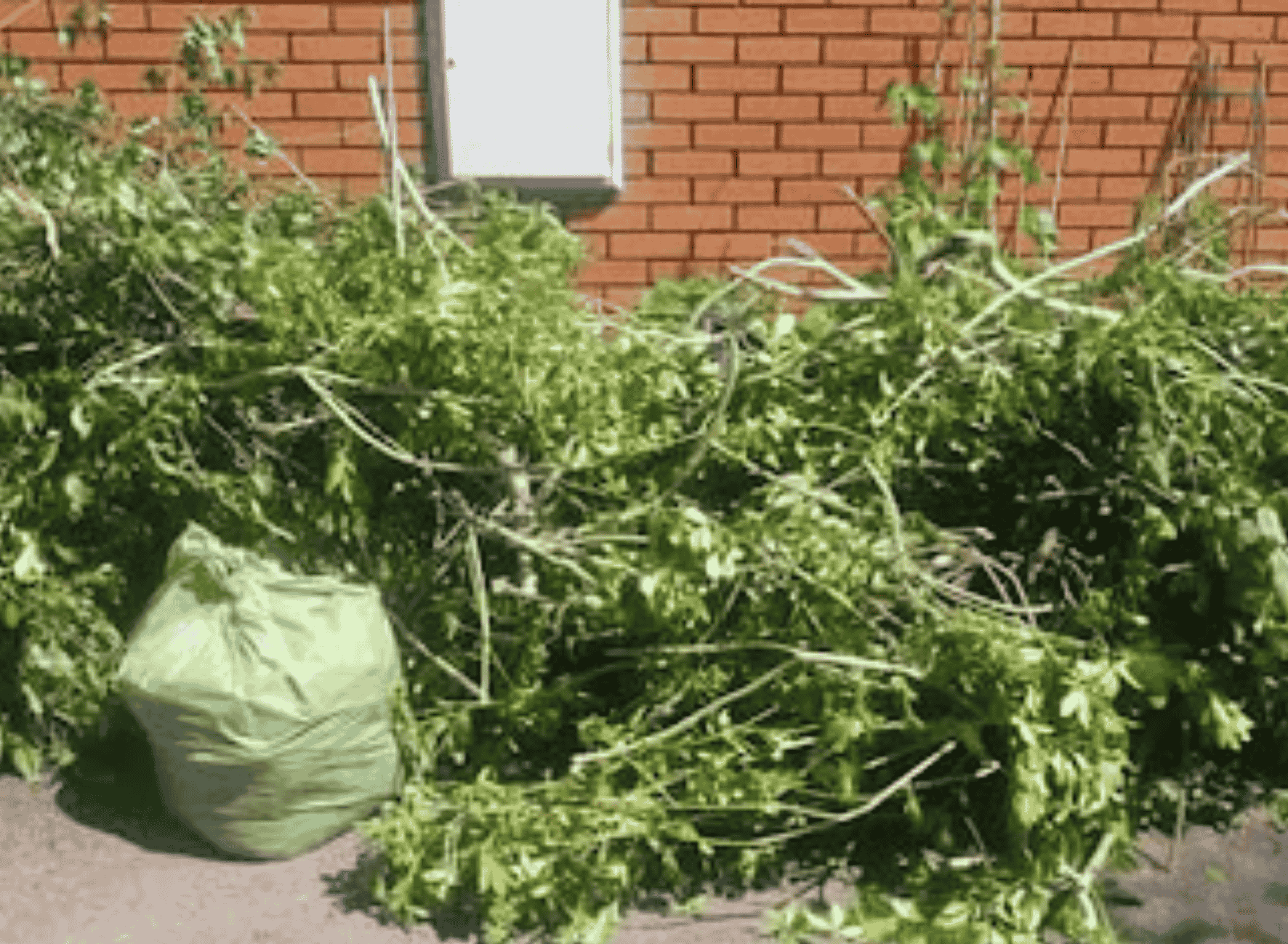 House removals service in Bournemouth by IA Property Solutions