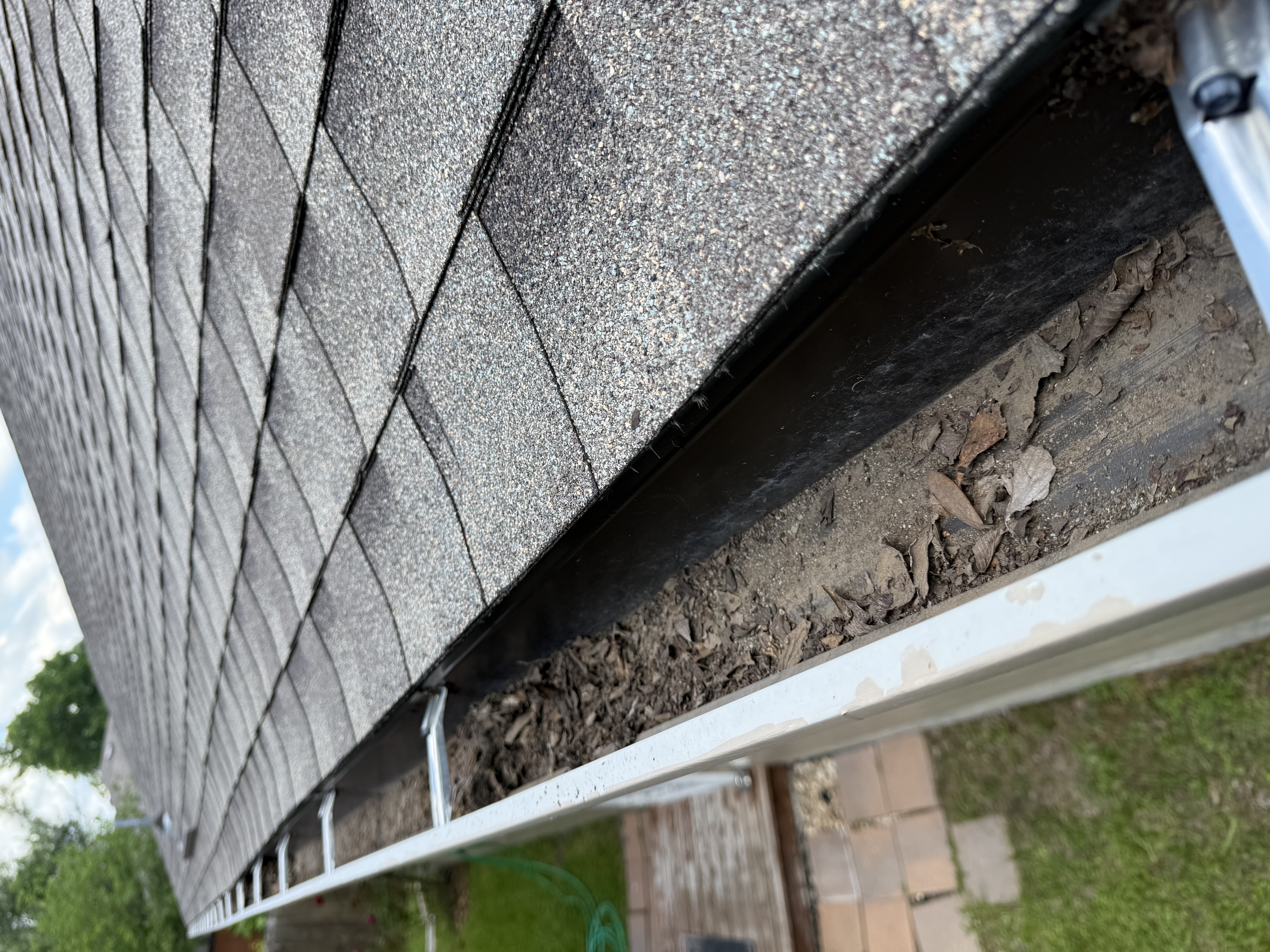 Gutter Cleaning & Roof Edge Detail before cleaning