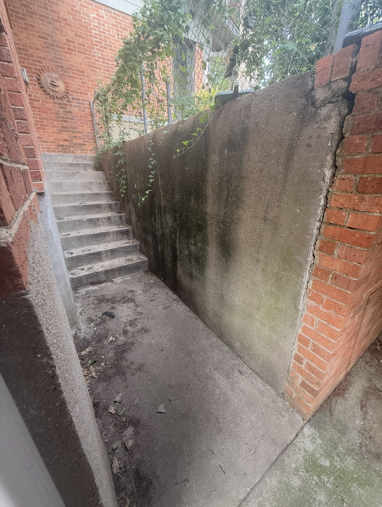Side Passage & Stairway Cleaning before cleaning