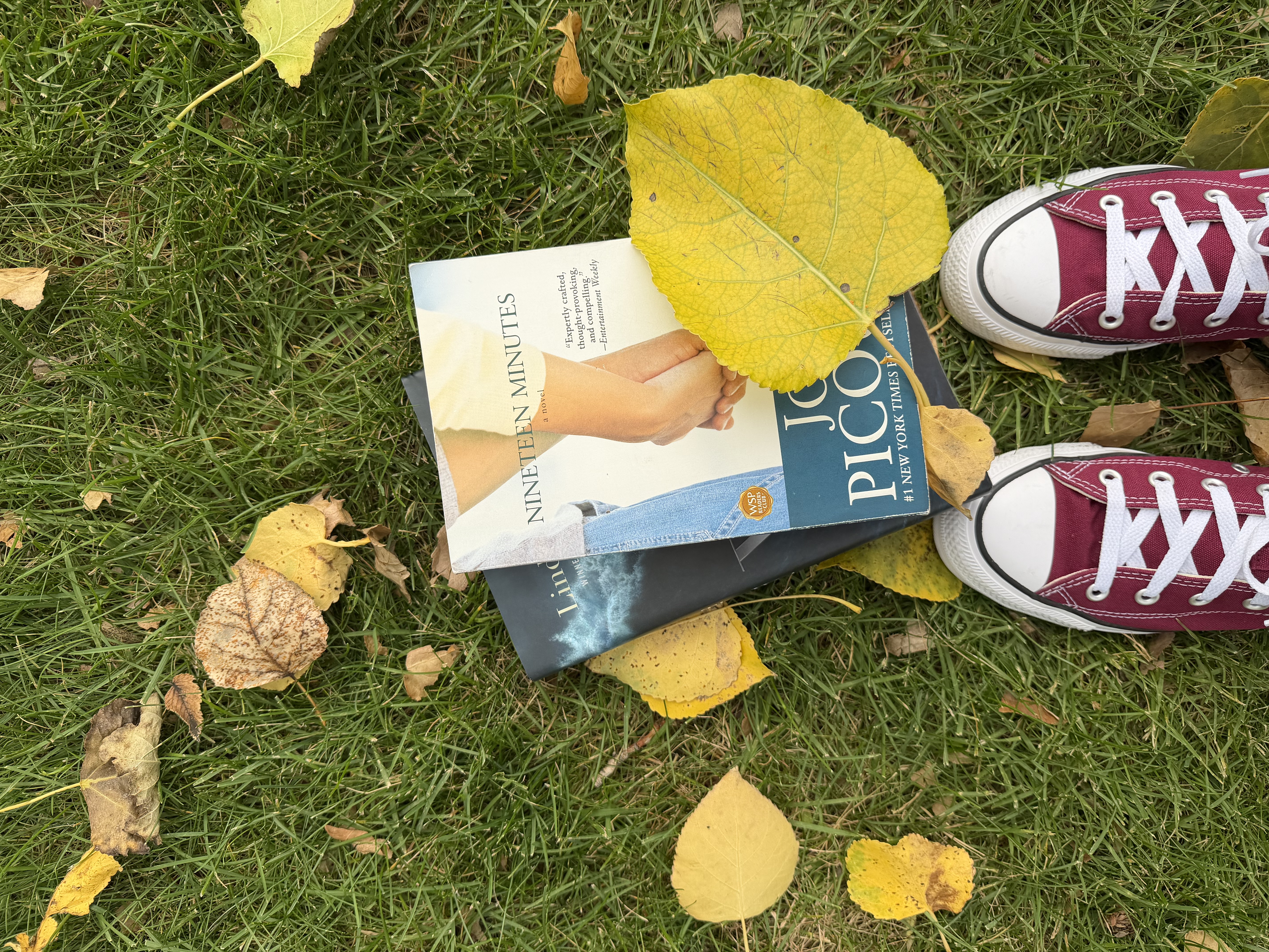 Burgundy sneakers on autumn grass, ready for the next step