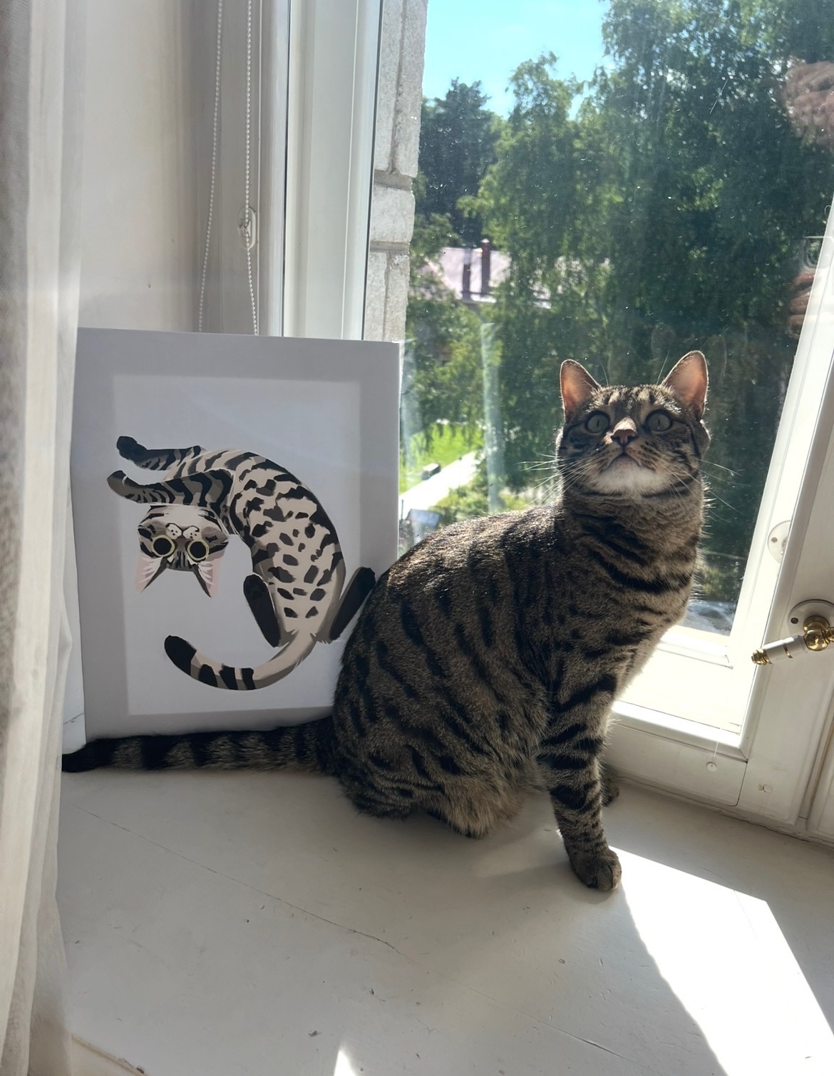 Custom dog portrait