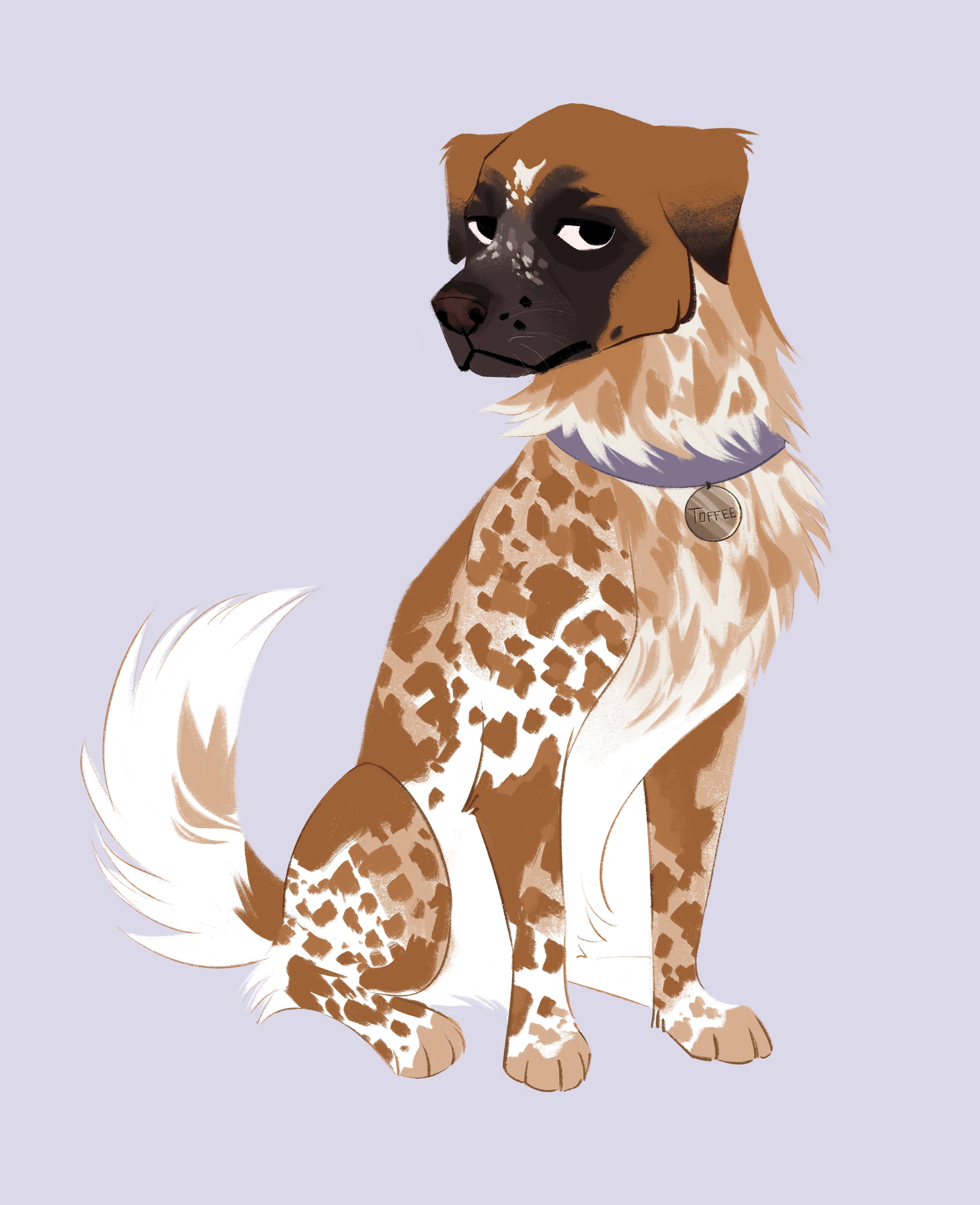 Custom dog portrait