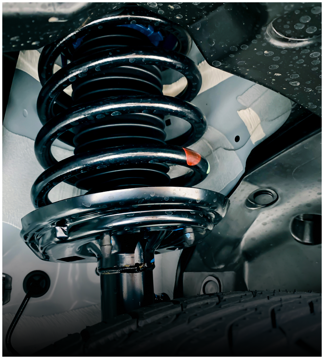 Shocks and struts