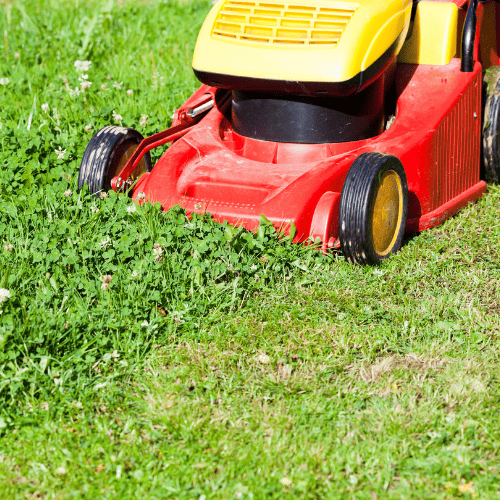 landscaping in Lubbock, TX