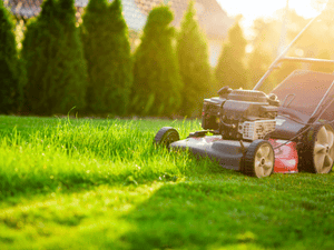 Lawn Maintenance in Lubbock, TX