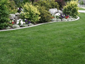 Landscaping Maintenance in Lubbock, TX