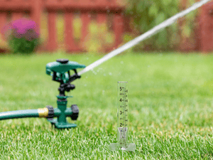 Irrigation Services in Wolfforth, TX