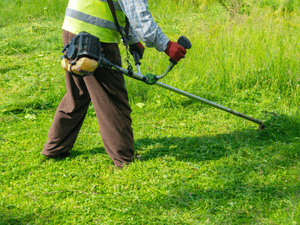 Lawn Maintenance in Wolfforth, TX