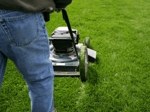 Landscaping Maintenance in Wolfforth, TX