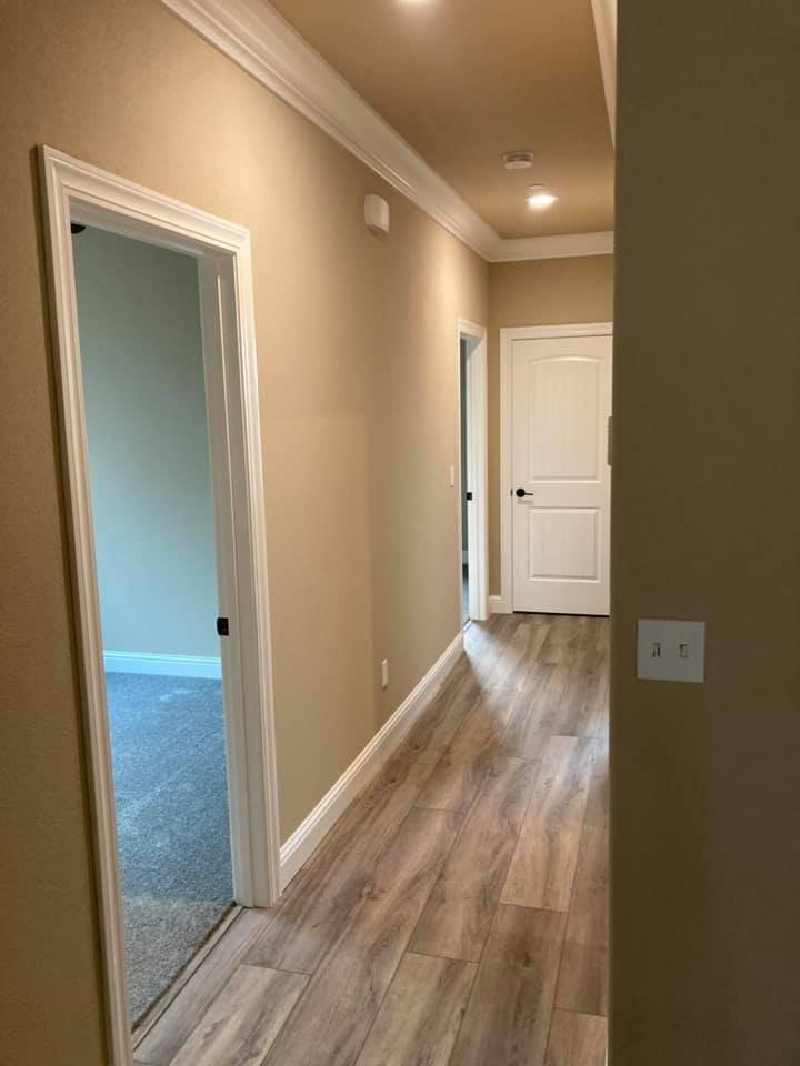 Interior Project 23