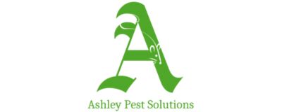 Mouse Control in Warren