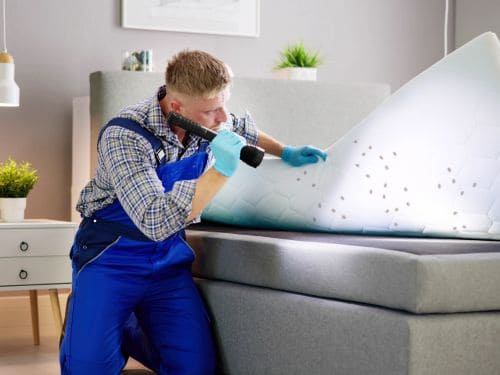 Macomb Spider Control