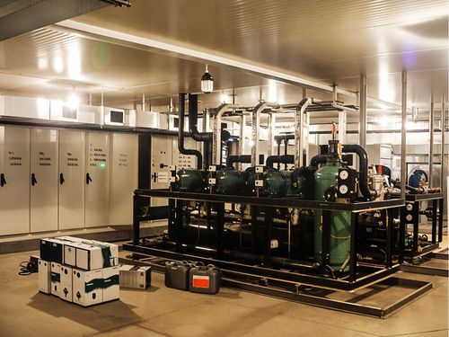 Roseville Spider Control