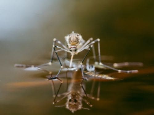 {{ custom_values.service_1 }} in {{custom_values.biz_area_1})