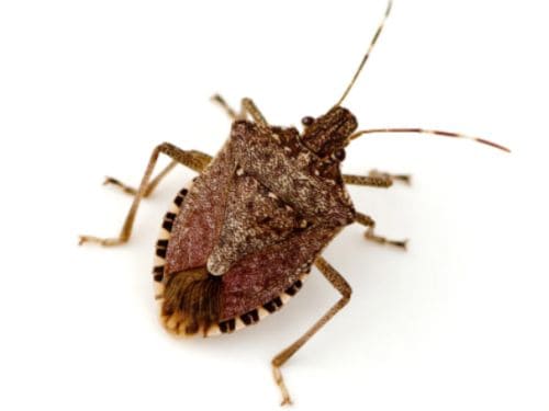 {{ custom_values.service_1 }} in {{custom_values.biz_area_1})