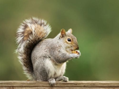 {{ custom_values.service_1 }} in {{custom_values.biz_area_1})