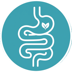 Gut icon