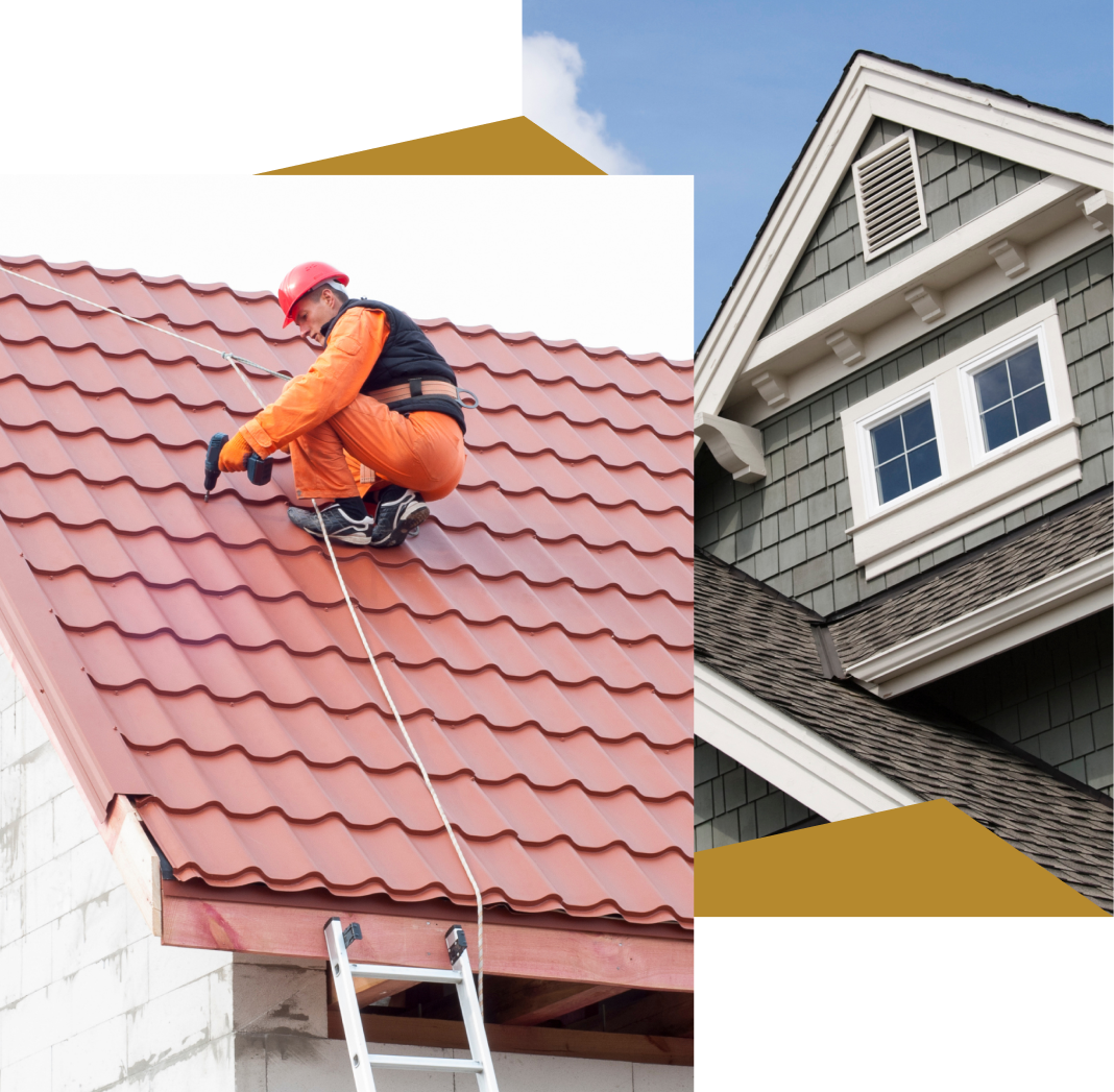 Insurance Claims