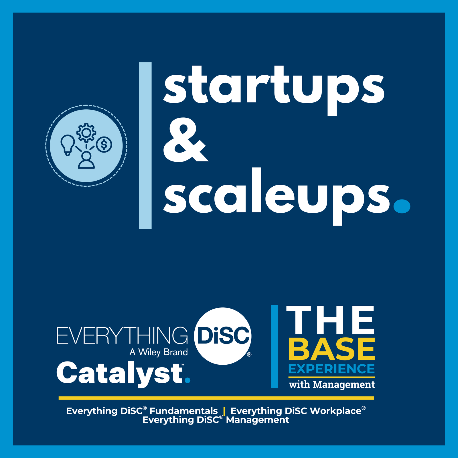 Startups & Scaleups - Base Experience with Management 