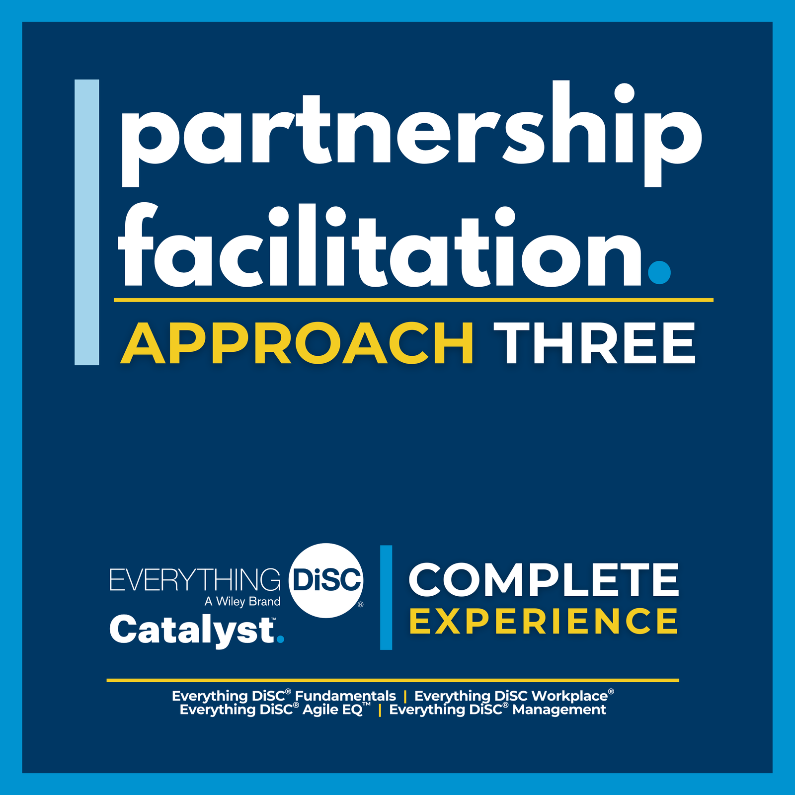 Partnership Facilitation - Hybrid Approach - Approach Three