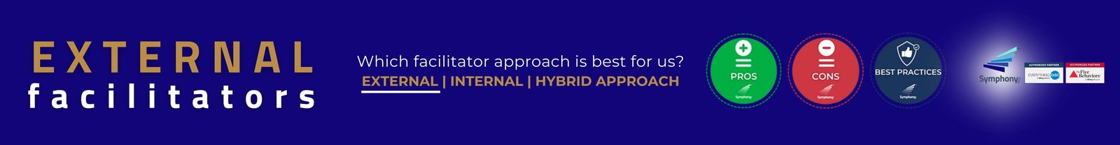 External Facilitator Approach