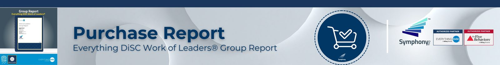 Purchase the Everything DiSC Work of Leadership Group Report