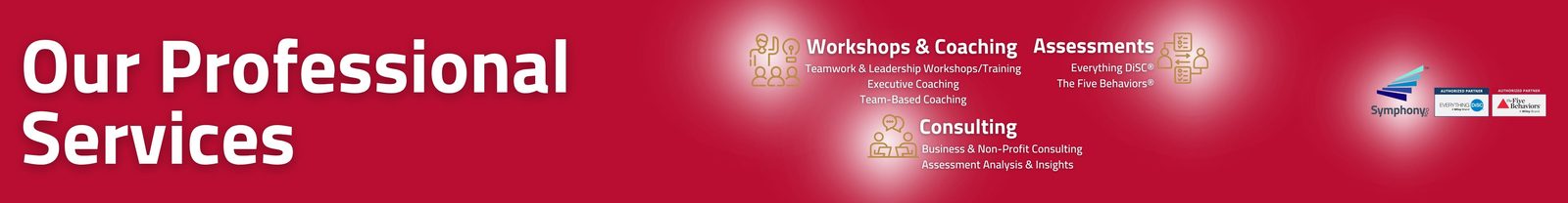 Our Professional Services