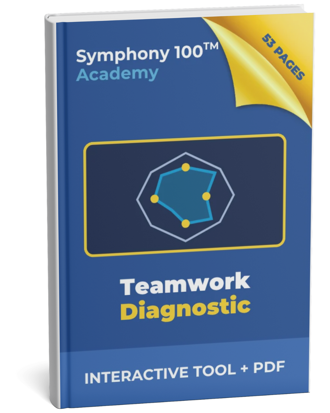 Teamwork Diagnostic — Symphony 100 Academy