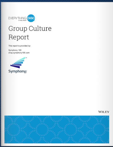 Everything DiSC® Group Culture Report cover