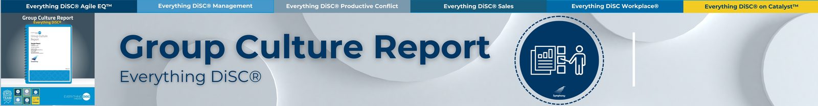 Everything DiSC® Group Culture Report