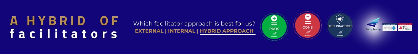 Hybrid of Internal and External Facilitator Approach