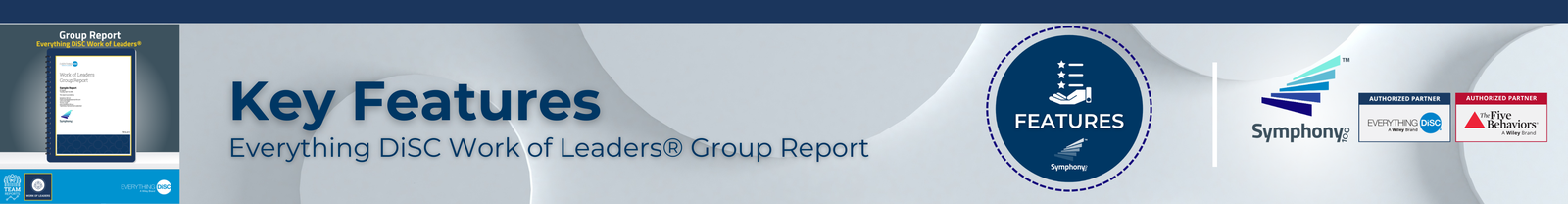 Key Features -  Everything DiSC Work of Leaders® Group Report