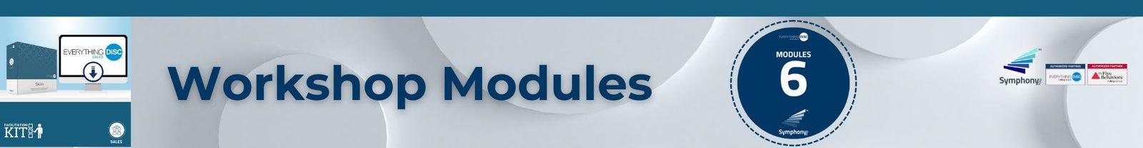 The Everything DiSC® Sales Facilitation Kit has 6 Modules