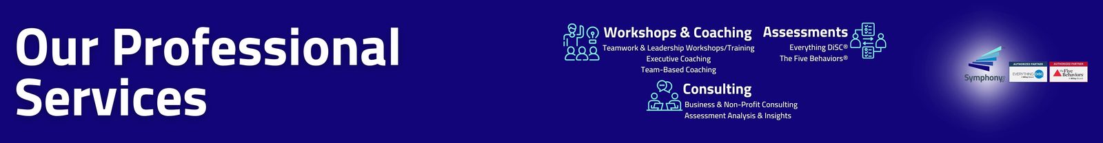 Our Professional Services
