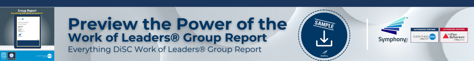 Download Sample Everything DiSC Work of Leaders Group Report