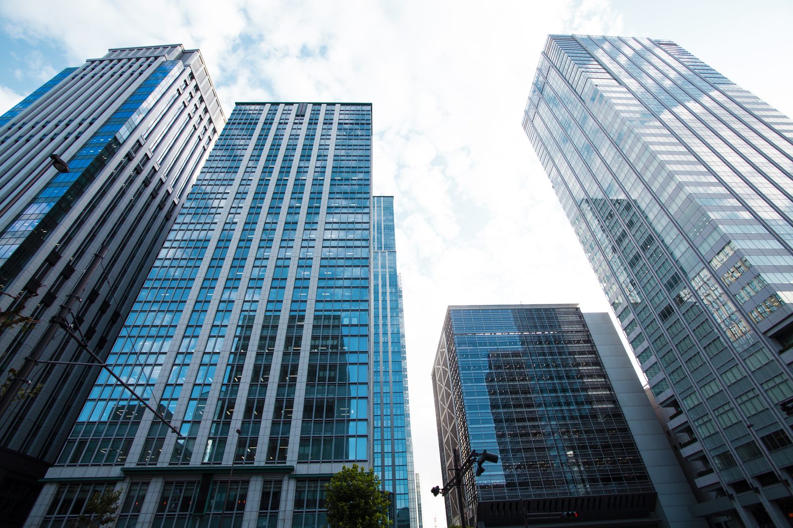 Multinational Businesses and Organizations